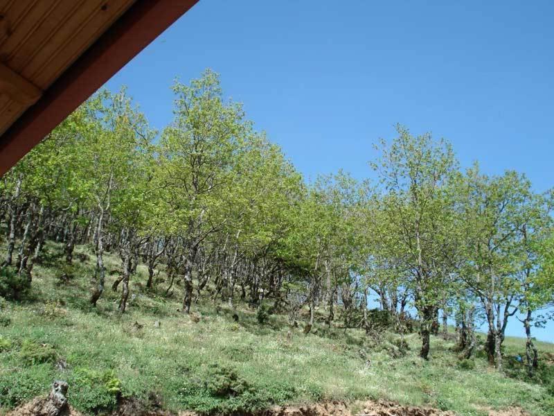 Guesthouse Irida Belokomiti المظهر الخارجي الصورة